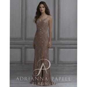 NWT Adrianna Papell Platinum Beaded Lace Dress in Rose Gold